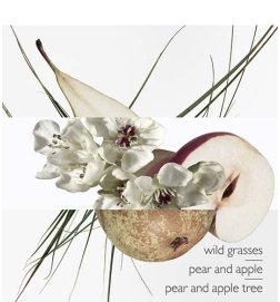 Un Jardin sur le Toit - Eau de toilette Un Jardin sur le Toit - Eau de toilette